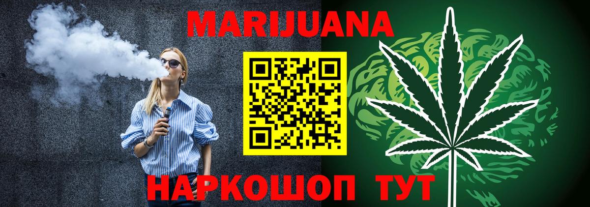 Каннабис сатива Обнинск